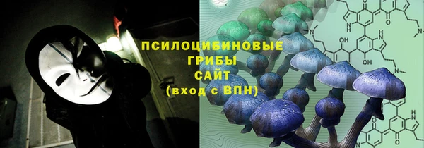 хмурый Бикин