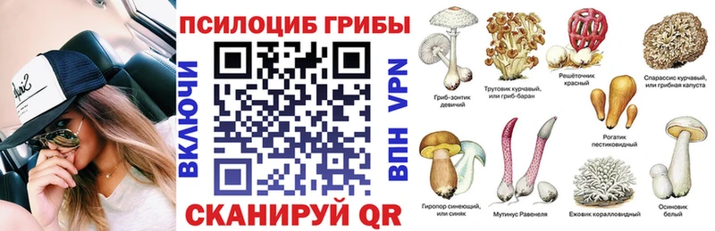 что такое   Белокуриха  гидра ONION  Псилоцибиновые грибы Cubensis 
